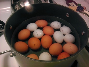 Eier kochen